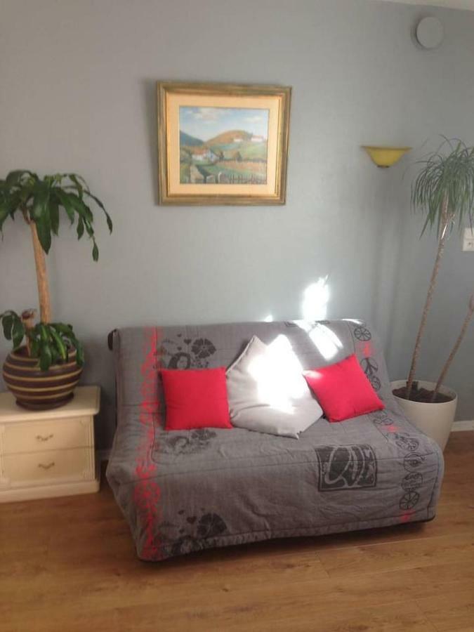 Petit Appartement Douillet Tres Bien Situe بياريتز المظهر الخارجي الصورة