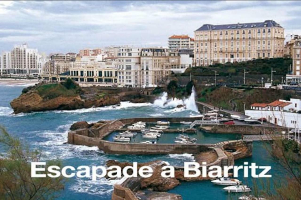 Petit Appartement Douillet Tres Bien Situe بياريتز المظهر الخارجي الصورة